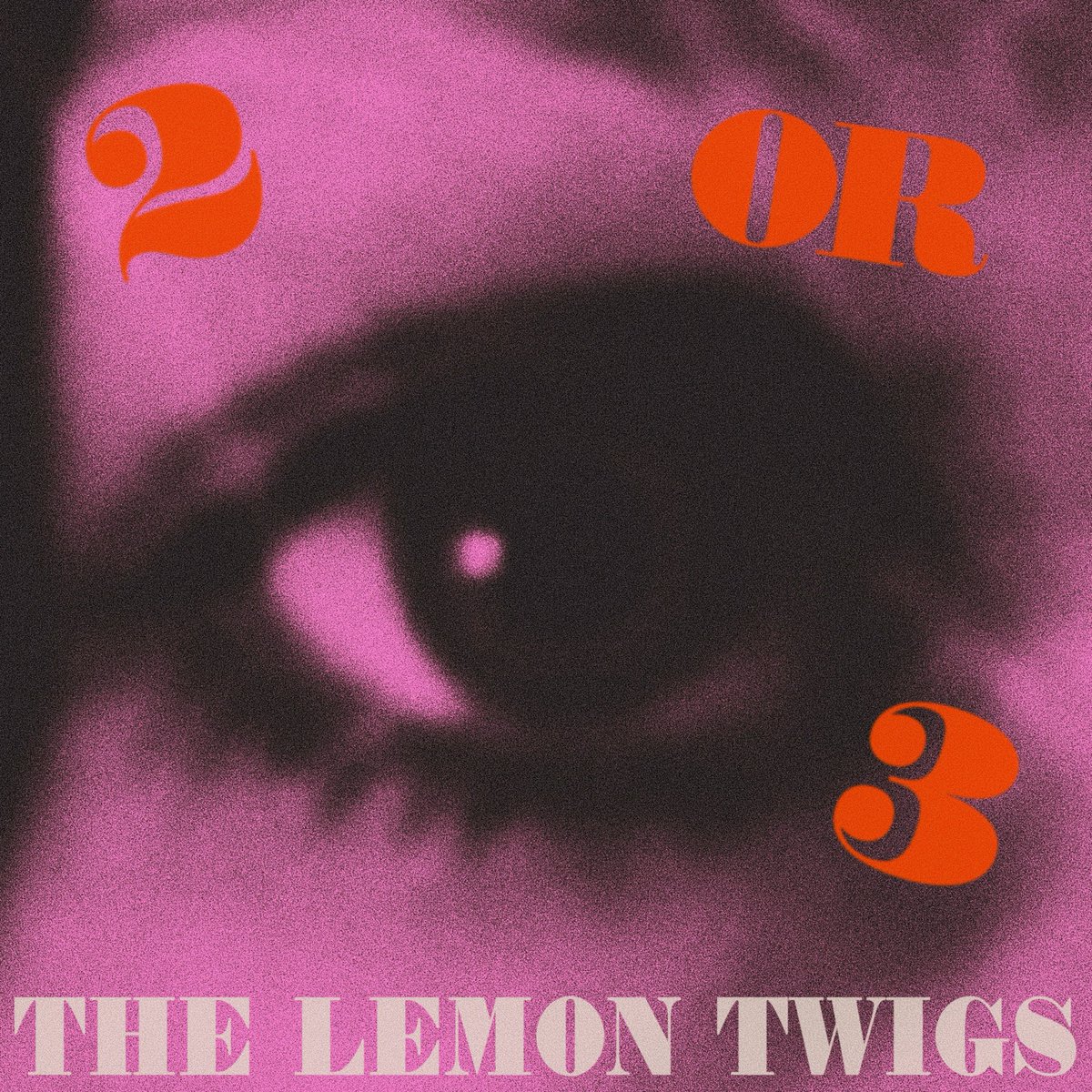 CD新品　THE LEMON TWIGS 「 CITY LIGHTS 」 A Dream Is All We Know | The Lemon Twigs