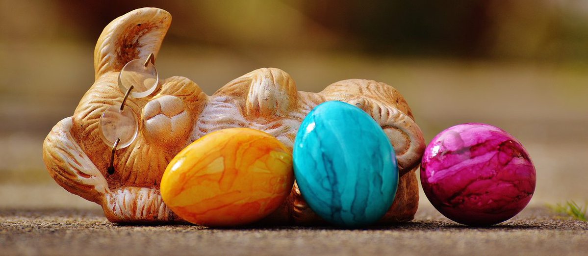 Schools North East tweet media