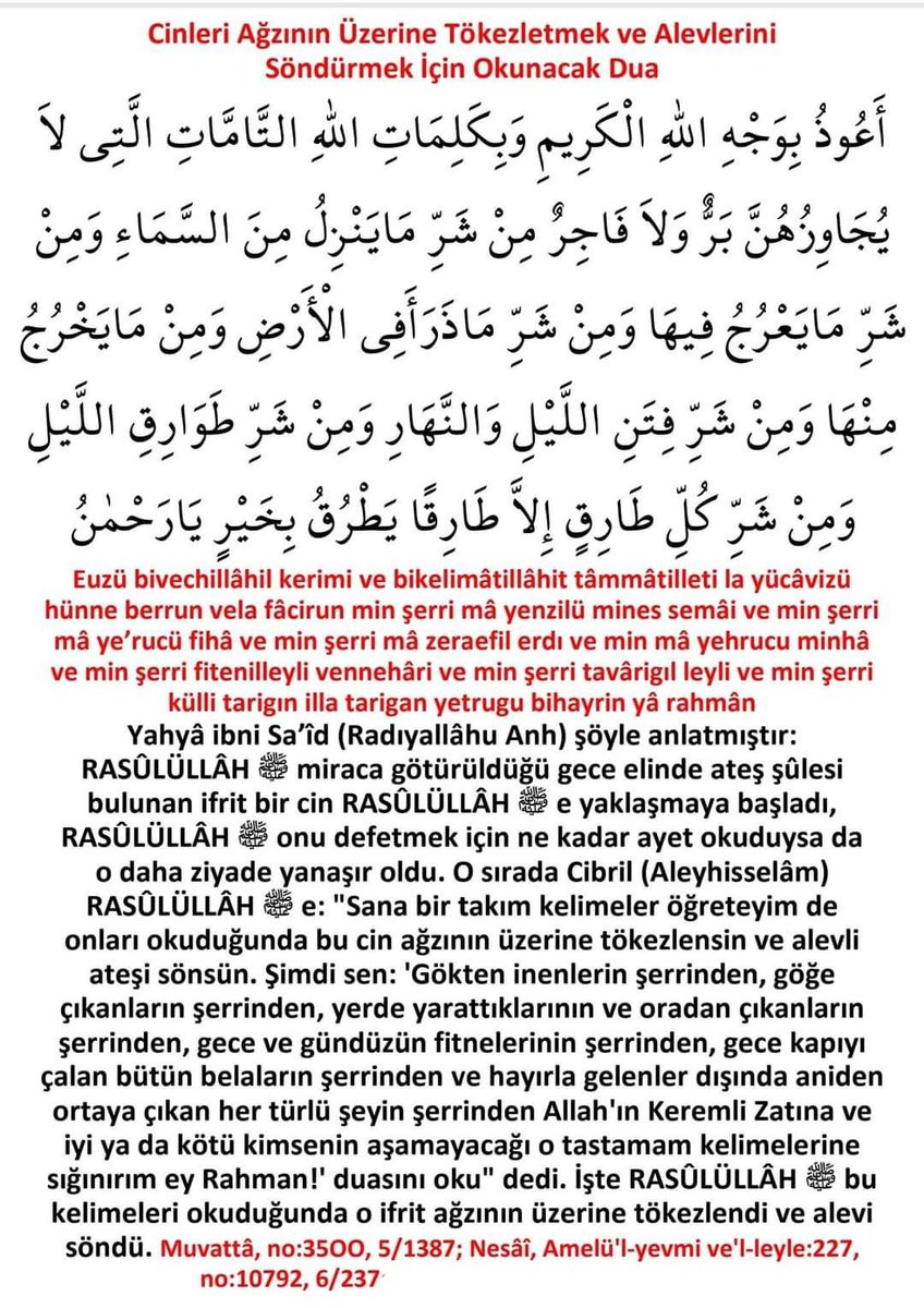 hattap celik tweet media