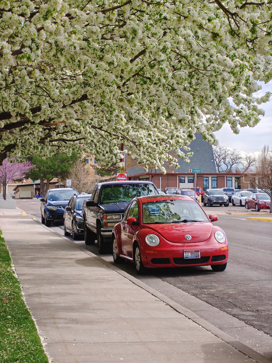 fahim_al_mahmud's tweet image. Spring is easily one of my favorite times of the year, Pocatello is looking extra beautiful 😍

OnePlus 15  📸

#shotOnOnePlus #shotOnSnapdragon