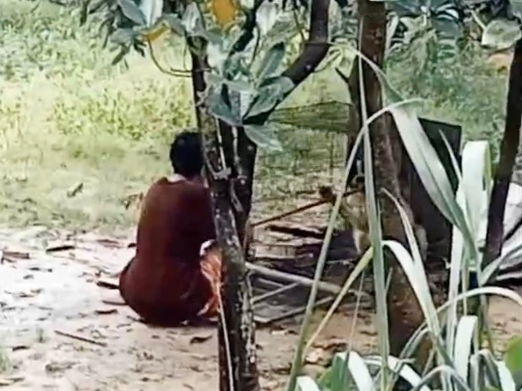 TMTRD - The Man That Rescues Dogs Foundation tweet media