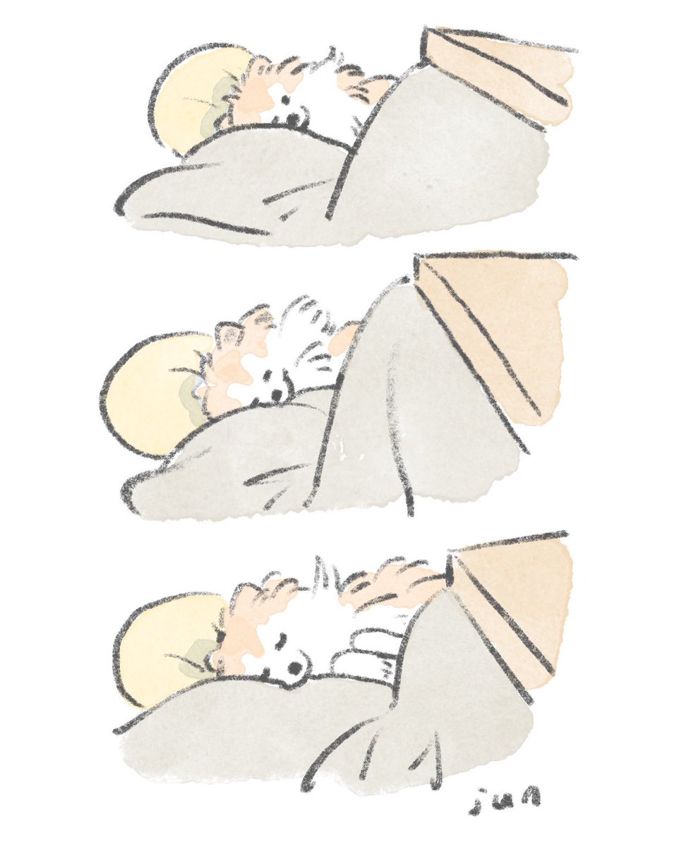 じゅん 【デザフェス両日A-8】 tweet media