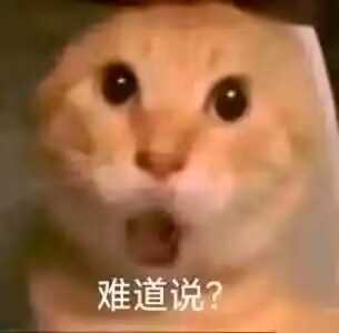 川和.豆沙維尼🇹🇼 橘貓愛好份子 tweet media