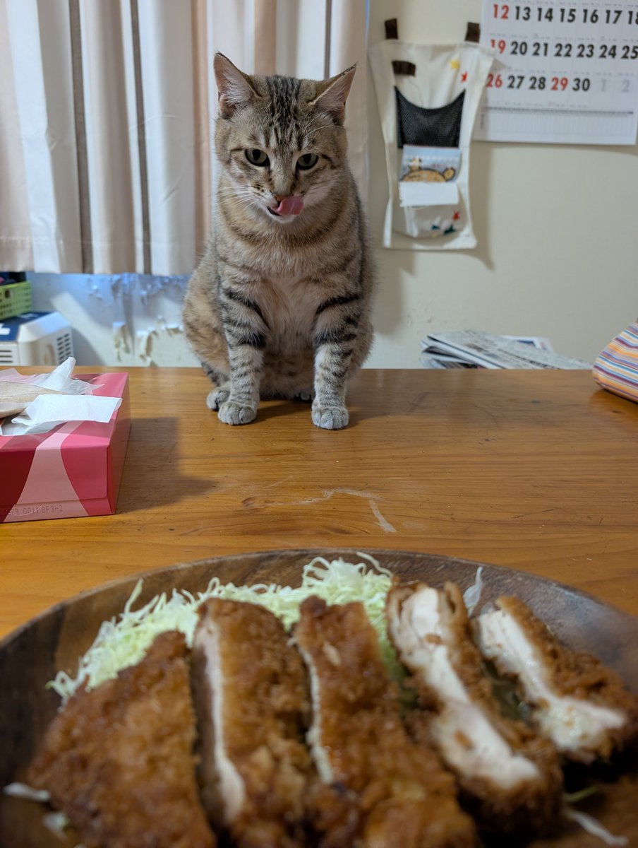 アヴェマナヴ tweet media