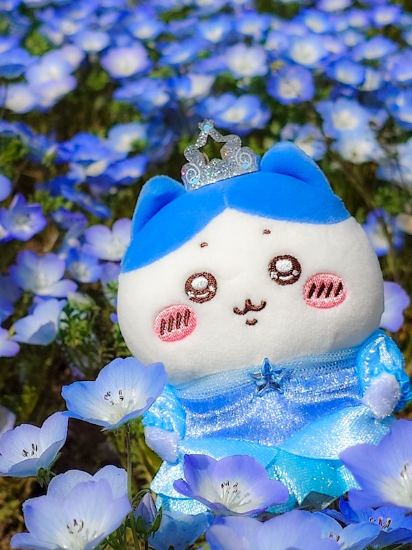 chiikawawars's tweet photo. ネモフィラかわいい💕✨ https://t.co/cNVOa3afj6