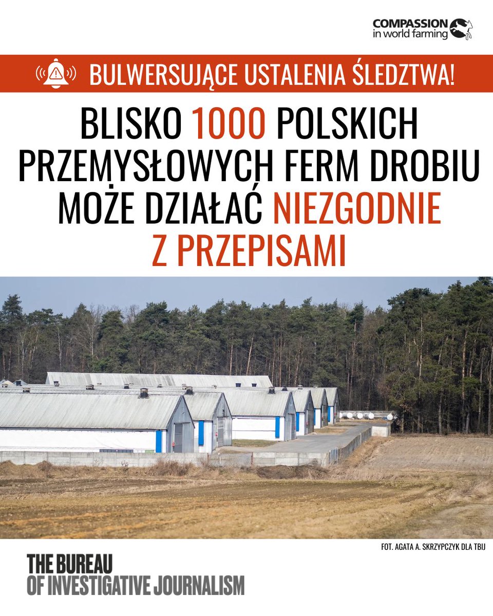 Compassion Polska tweet media