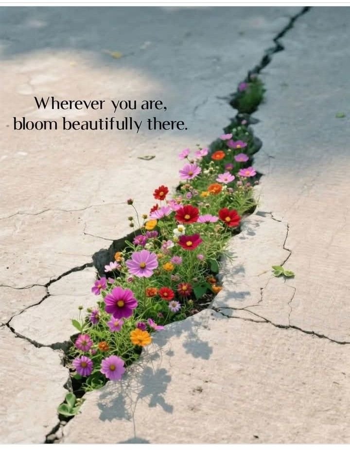 SomeWhatAli tweet media