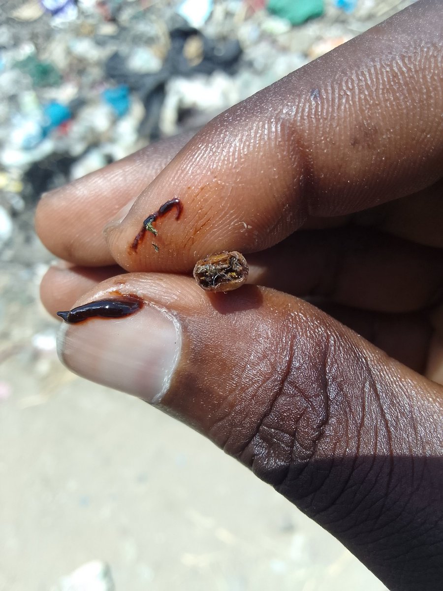 KenyaWest tweet media