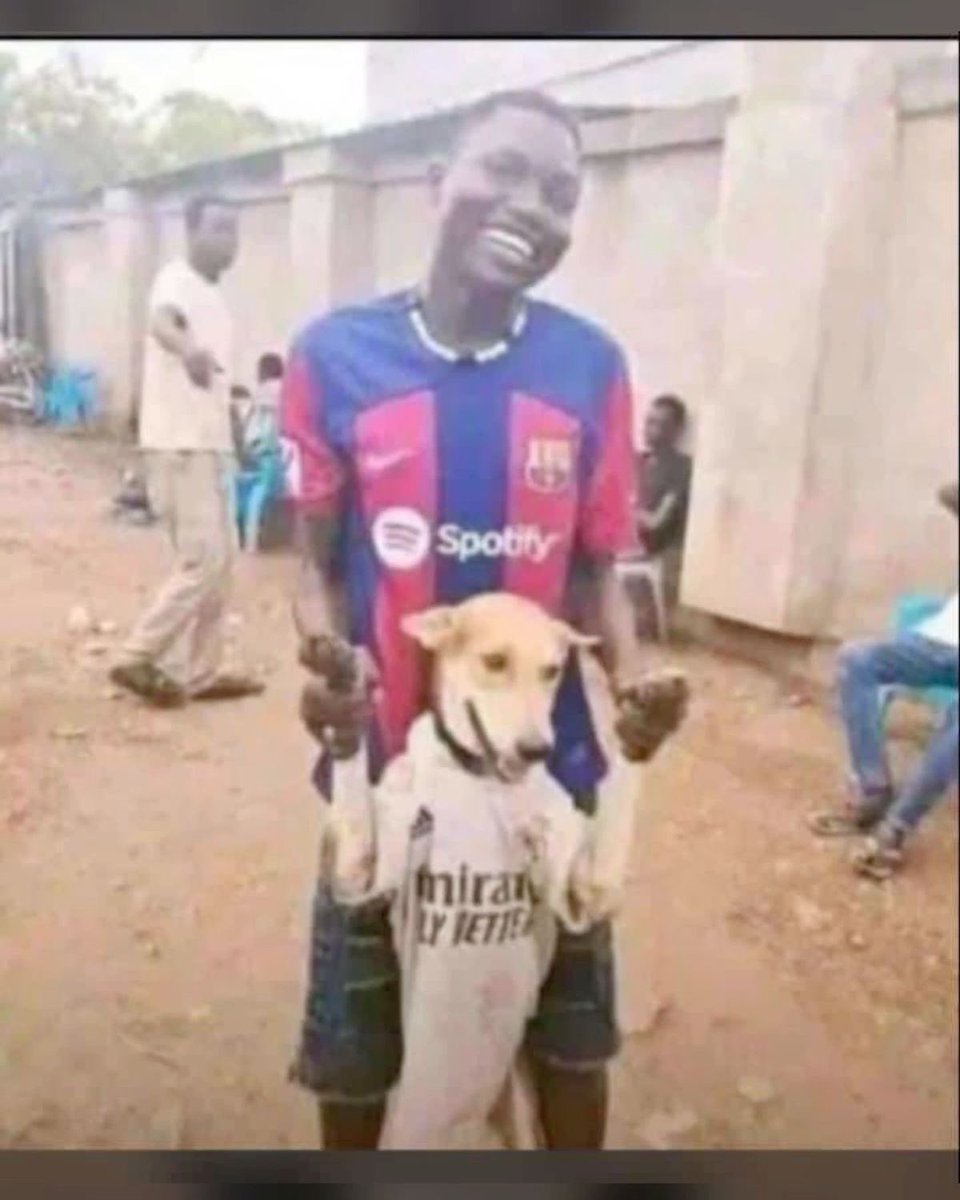 GINOD MORRE tweet media