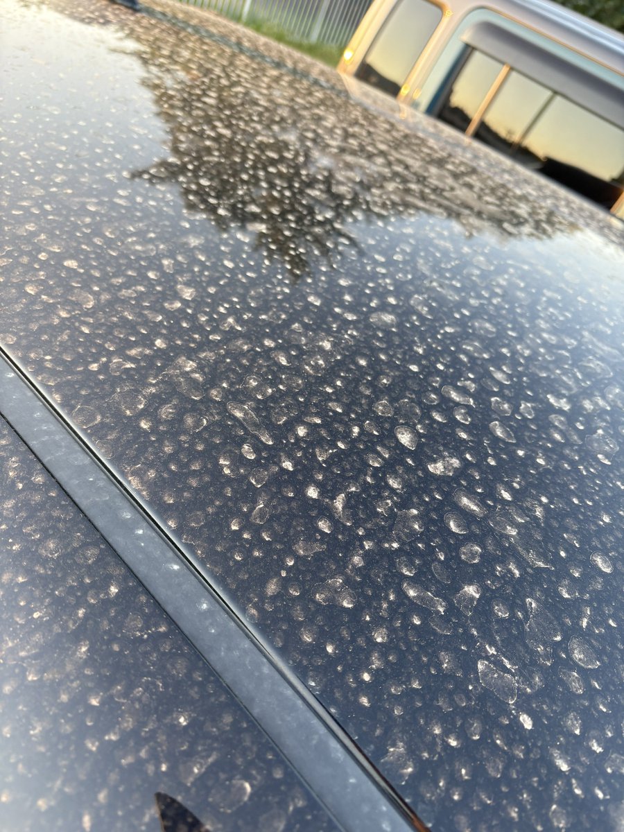 つゆちゃ☄️🍻🐾 tweet media