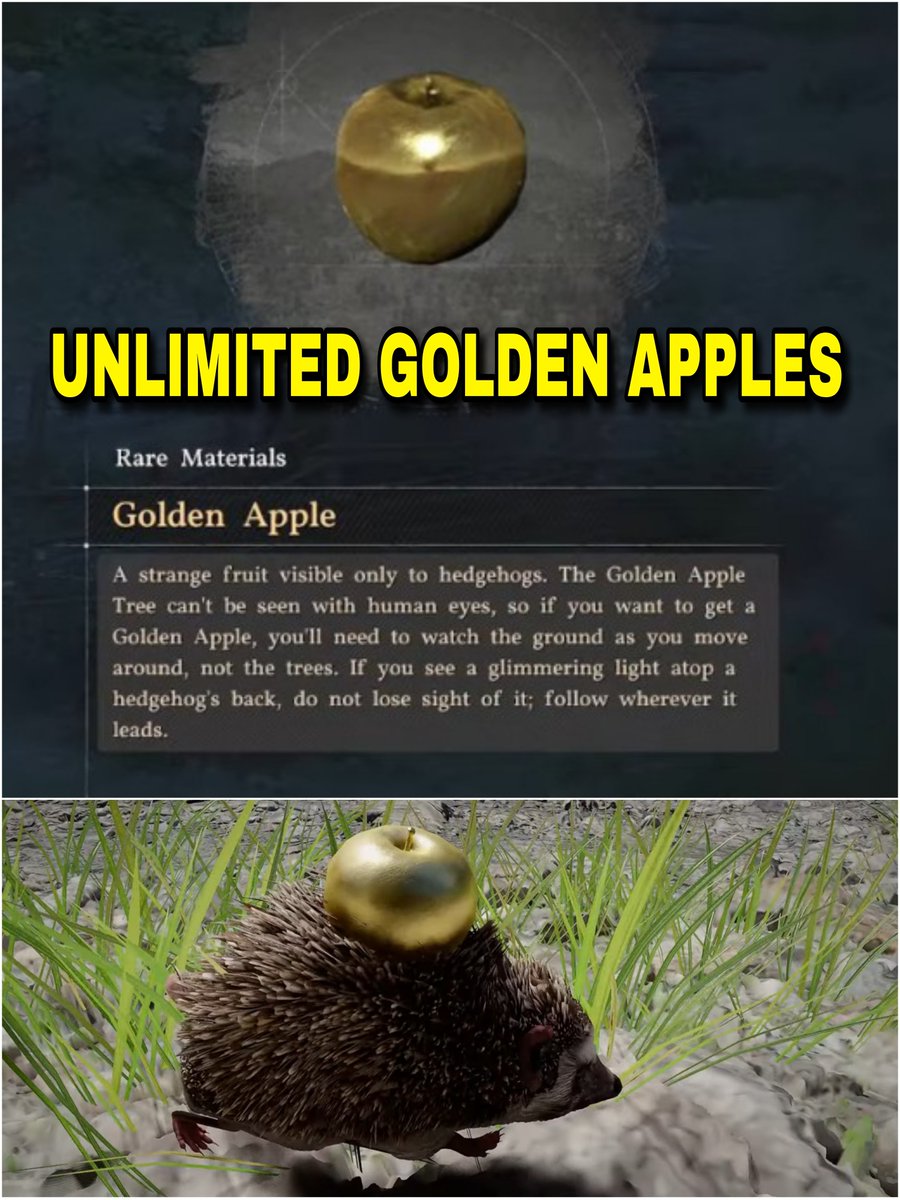 Zephryss⛩️ tweet media