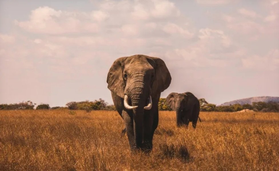 Sue Spurgin tweet media