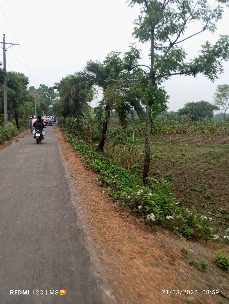 Look the environment of village 
The environment is so cool and very clean.