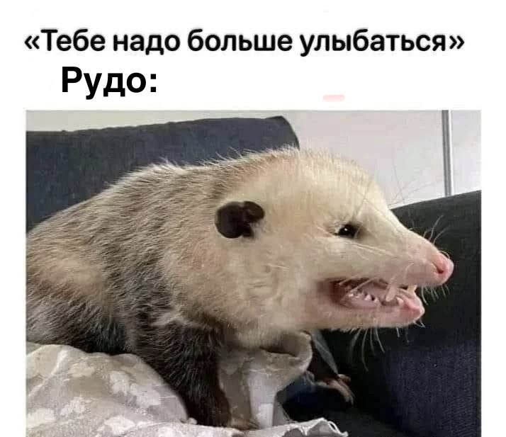 fantastic N tweet media