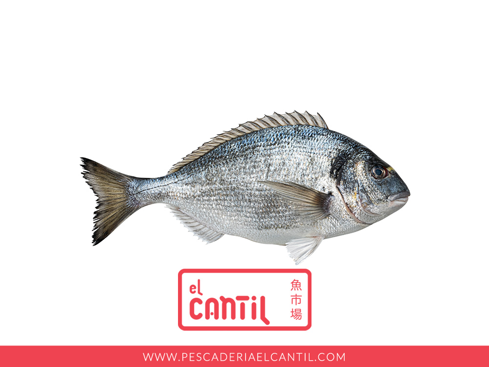Pescaderia El Cantil tweet media