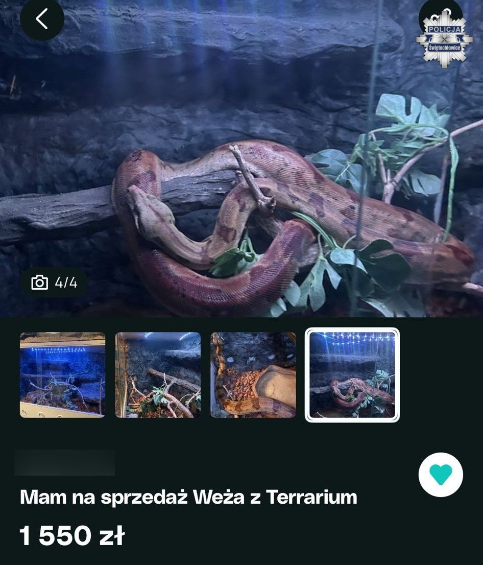 Policja Śląska 🇵🇱 tweet media