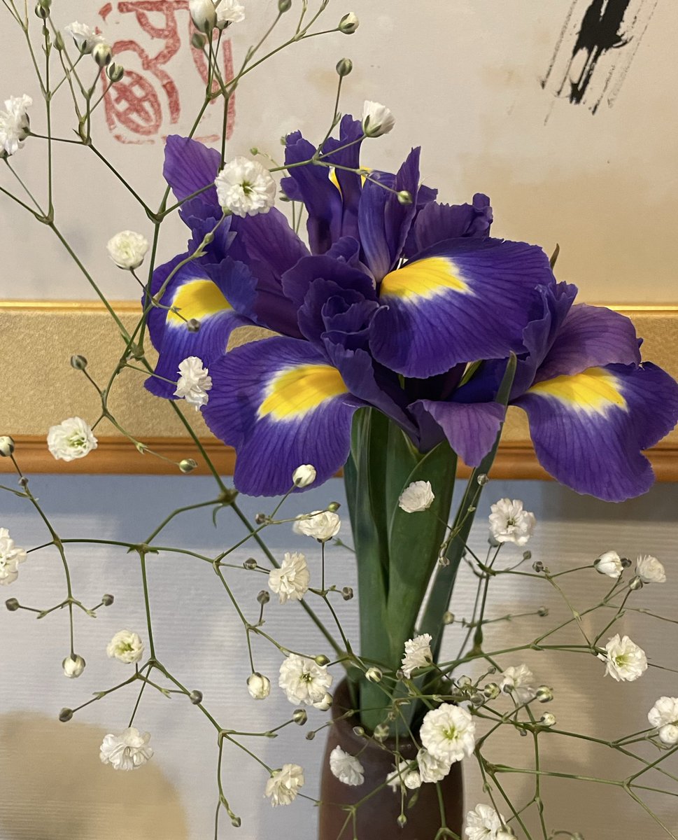 しょーすけ tweet media