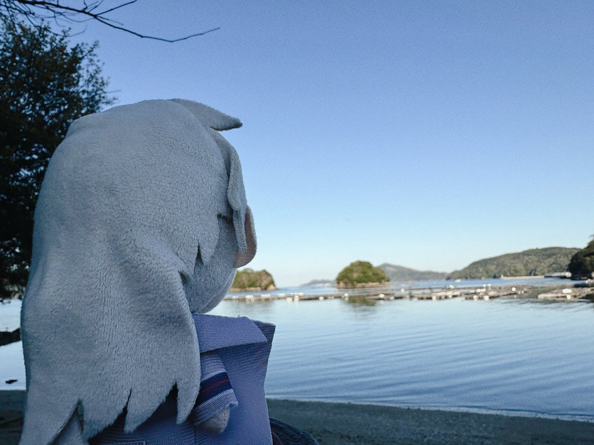 くろてら@固定通販 tweet media