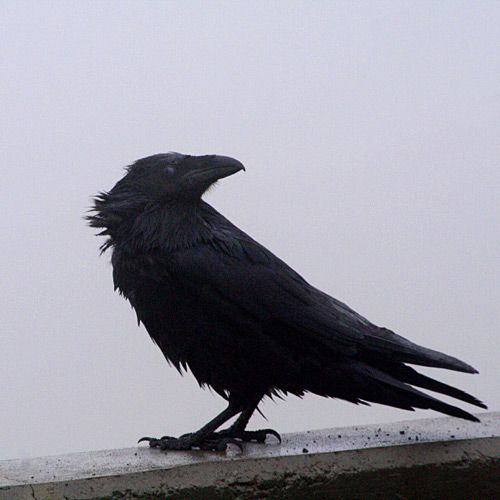 FutureTheory tweet media