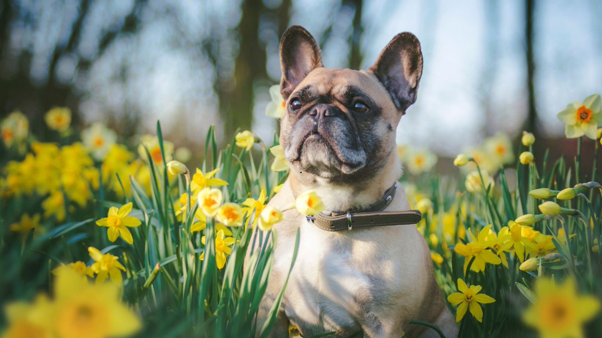 Torfaen Council 🏴󠁧󠁢󠁷󠁬󠁳󠁿🇺🇦 tweet media