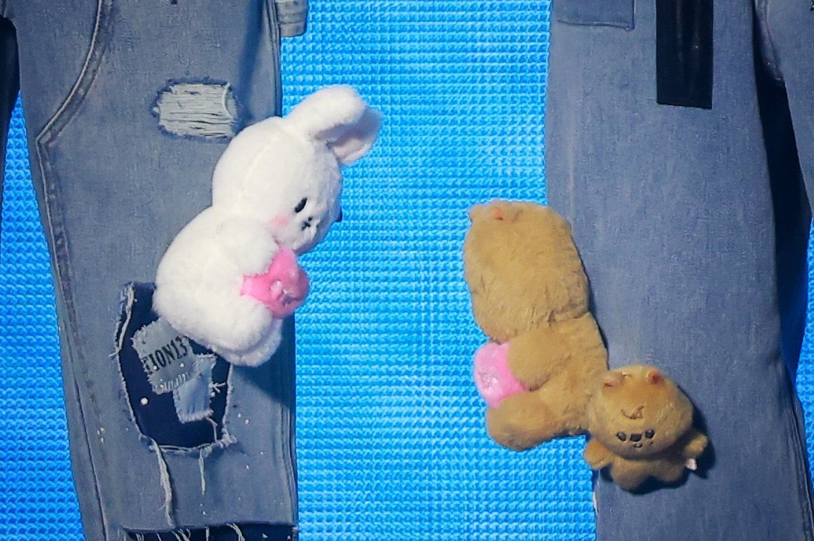 fox ●ᴥ● tweet media