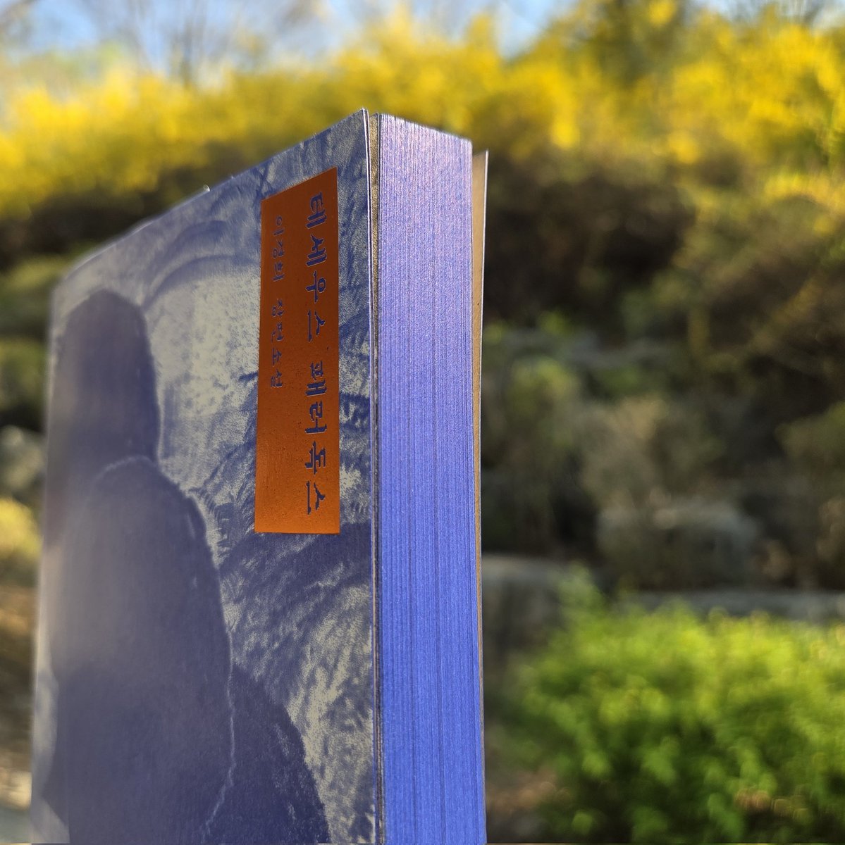 𝓓𝓪𝓵 tweet media