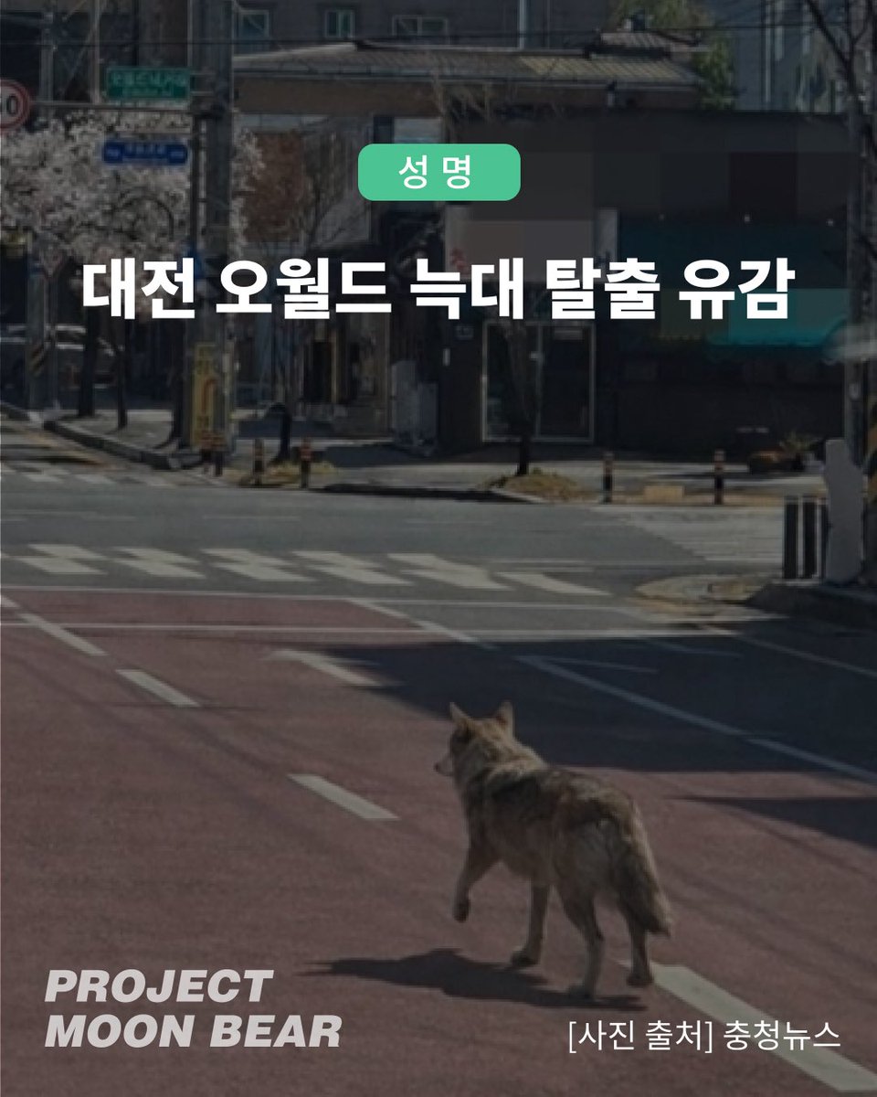 곰 보금자리 프로젝트 tweet media