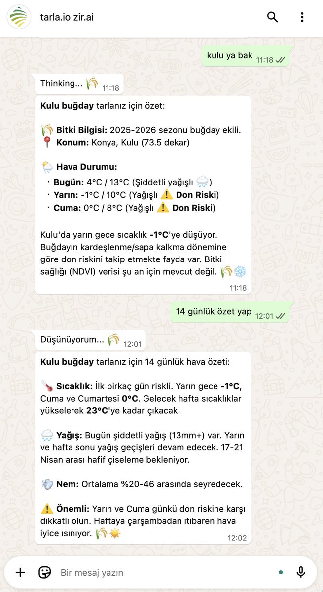 tarla.io tweet media