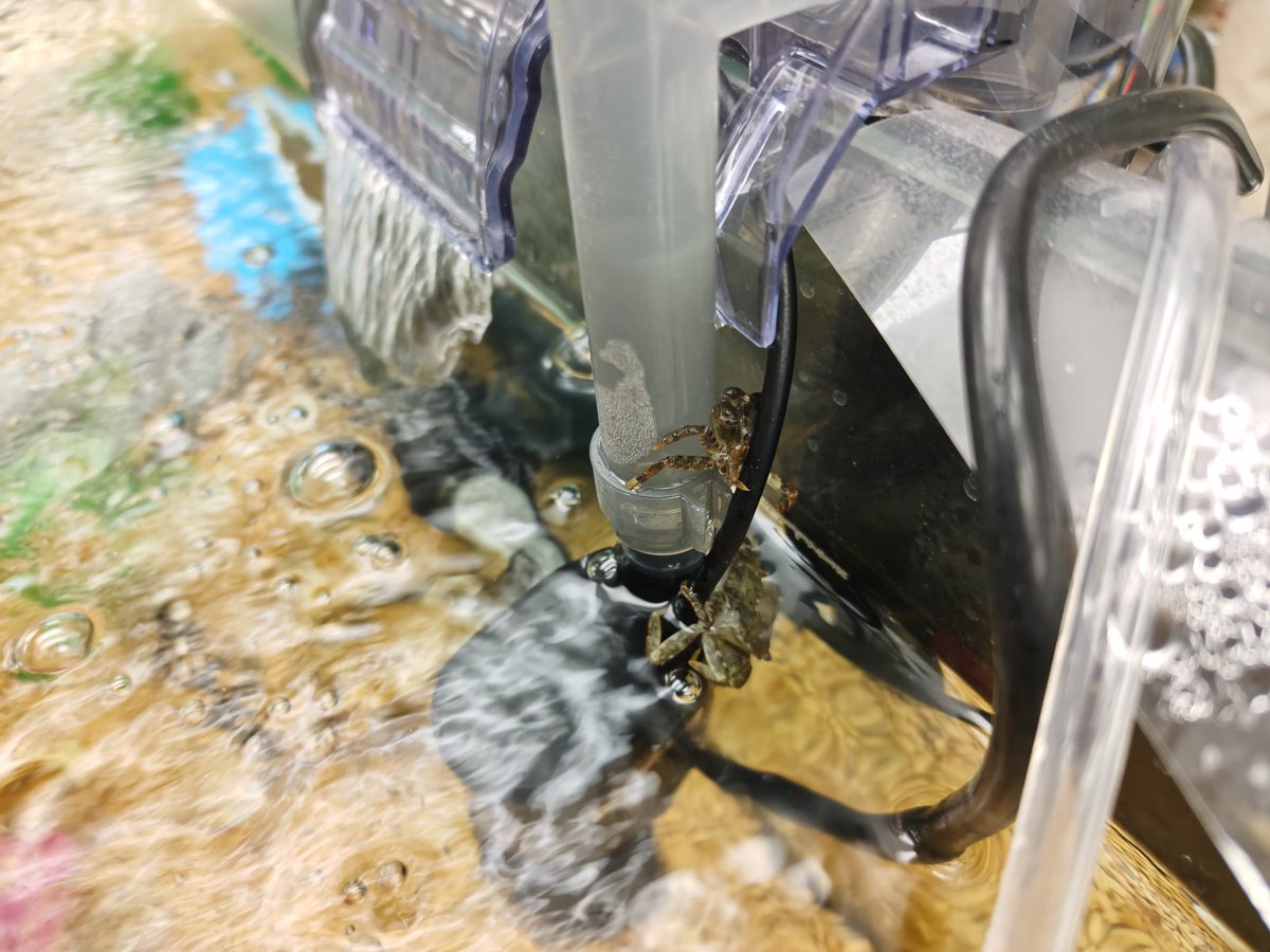 BAYLOOP ベイループ羽田 (釣具/イベント/展示/フリマ) NT海洋事業部 羽田拠点 tweet media