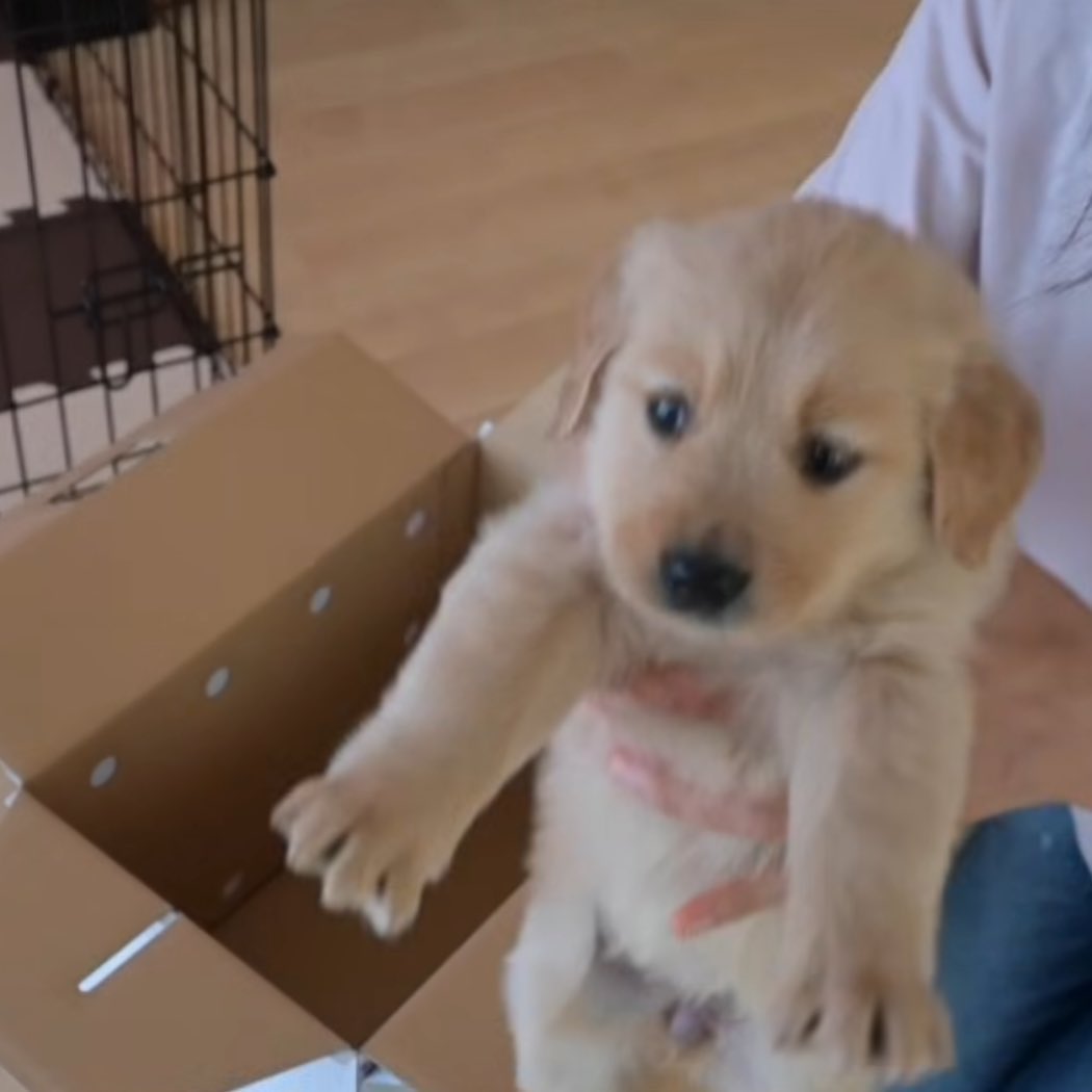 ก้อน tweet media