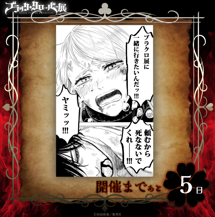 【公式】ブラッククローバー展 tweet media