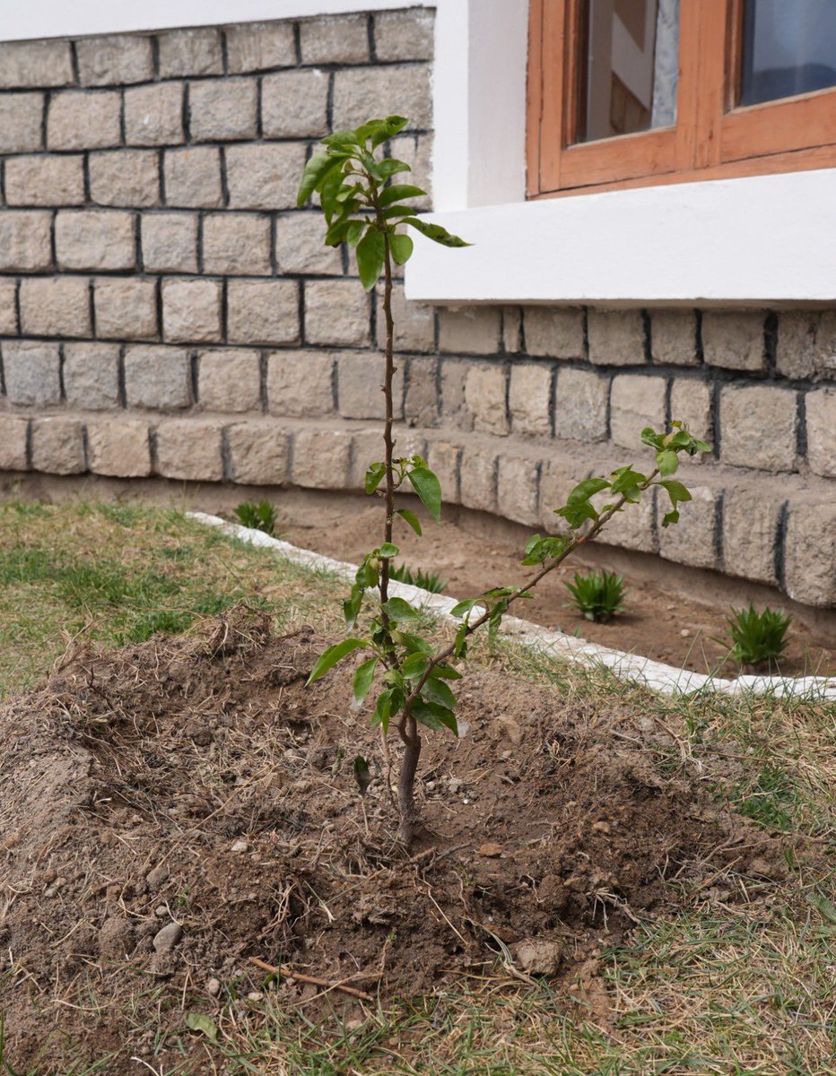 LG Ladakh tweet media