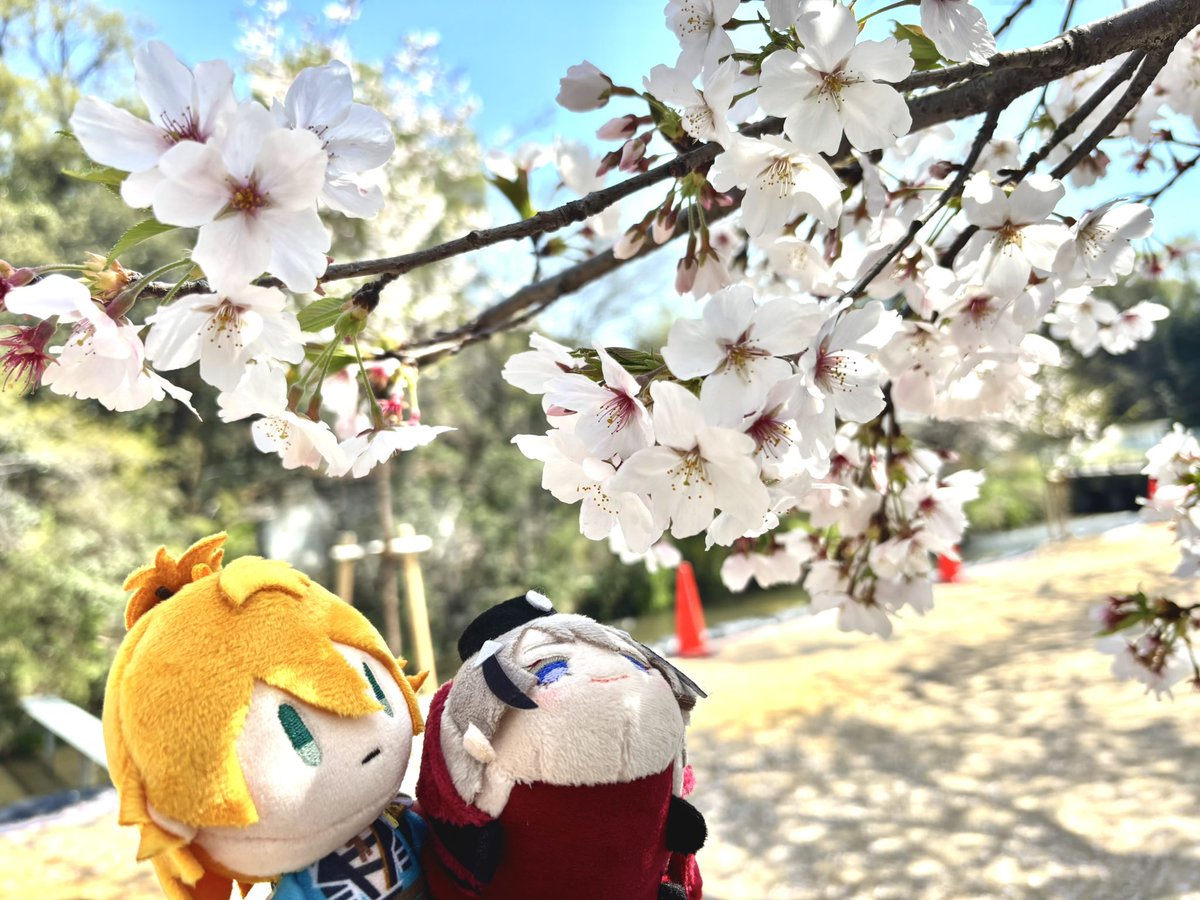 みつあし🍙🔴5/5東１こ31a tweet media