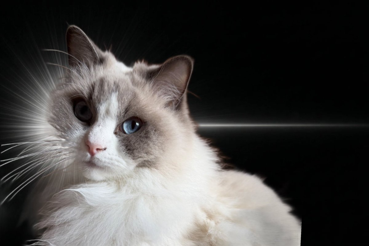 まちゅり໒꒱· ﾟ tweet media