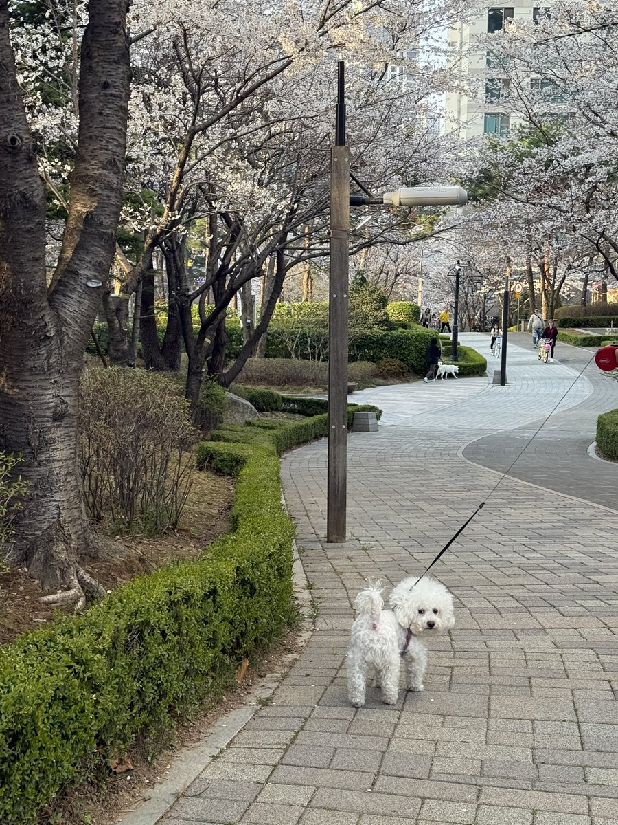 호랑 tweet media