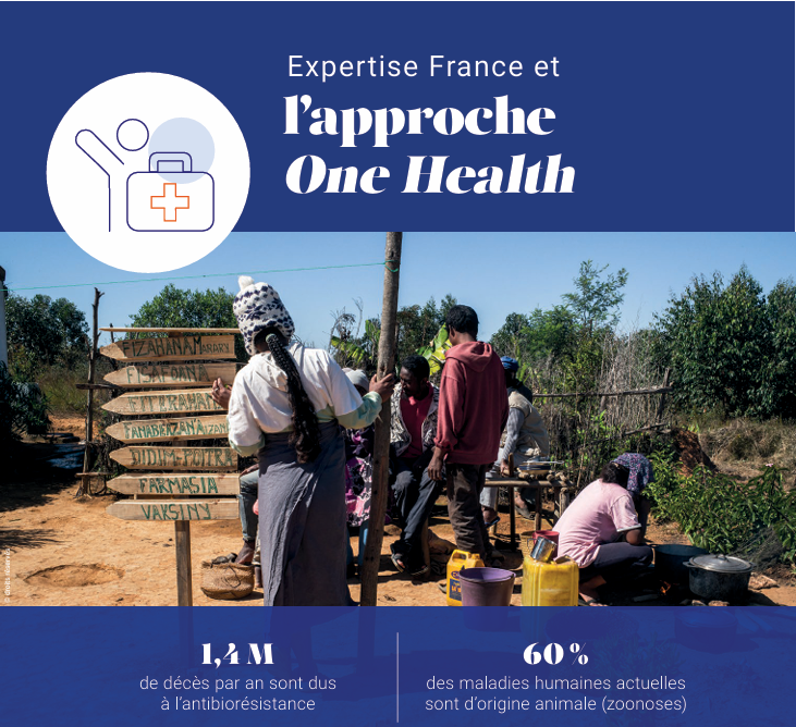 Expertise France tweet media
