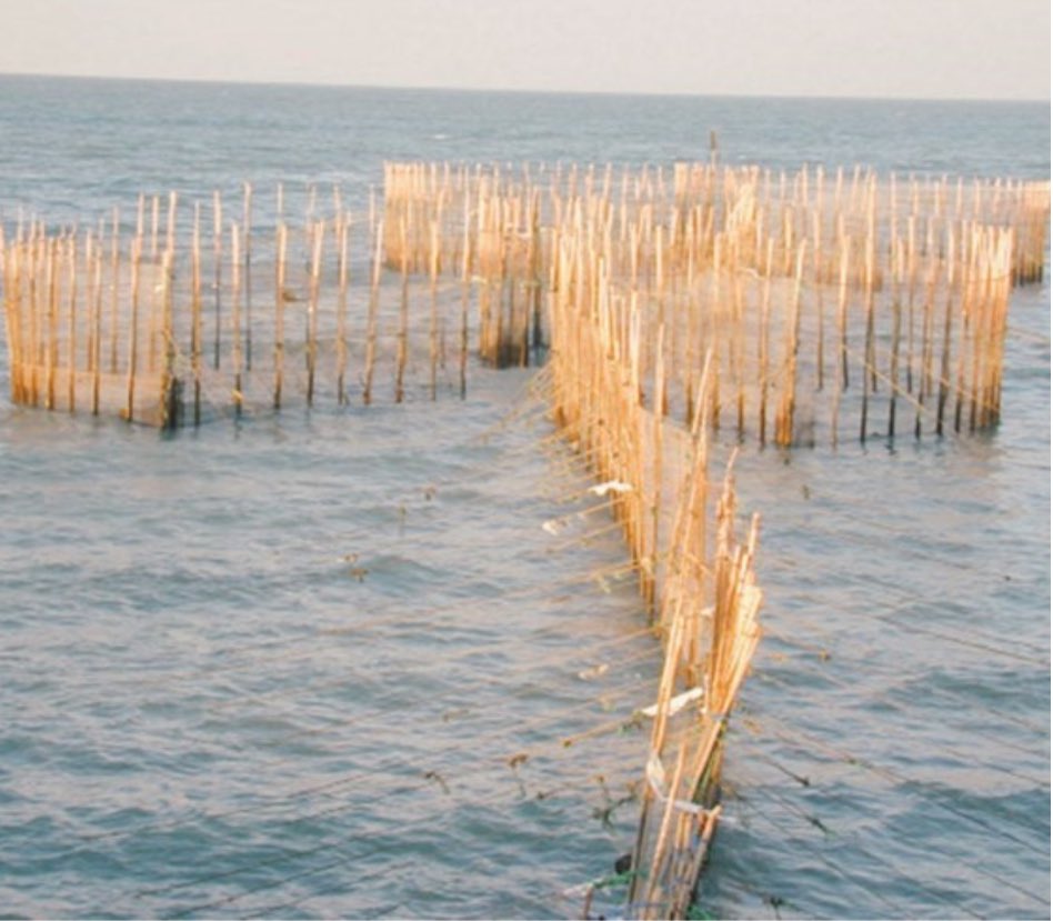 صلاح سالم الجحيل(بويوسف) tweet media