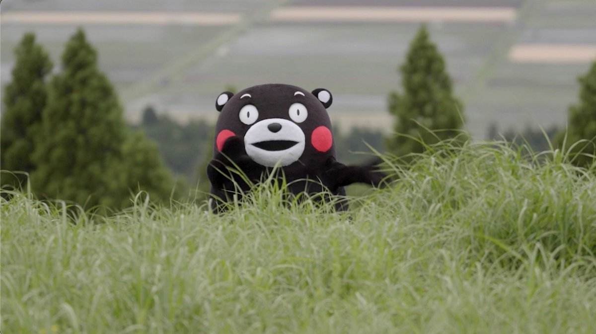 くまモン【公式】 tweet media