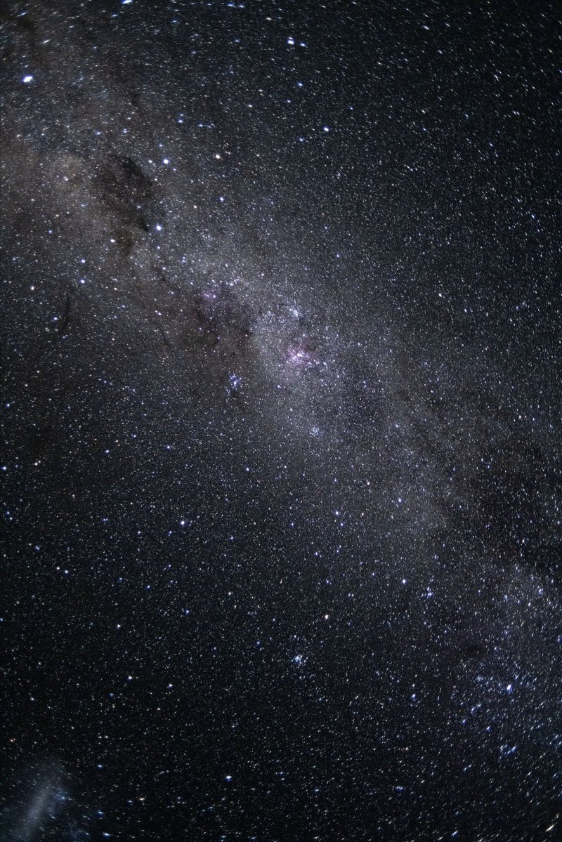 Steven Cercamondi tweet media