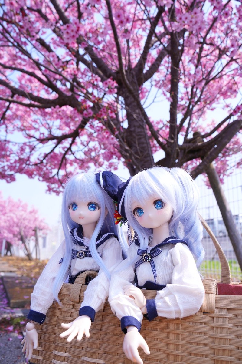 めろか tweet media