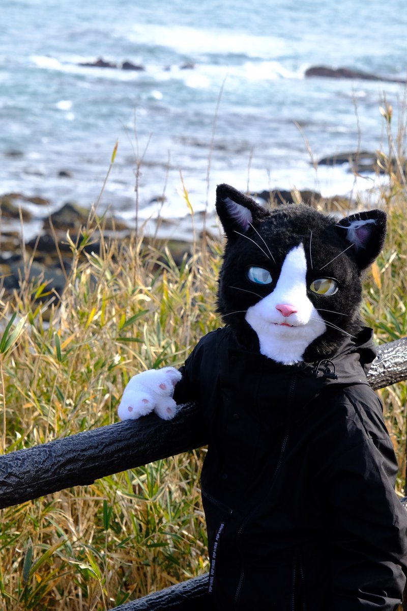 柚子茶 tweet media