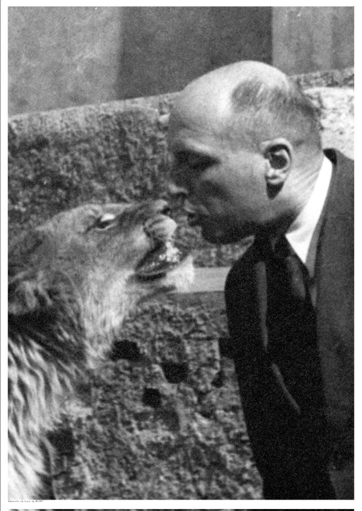 Seb.Nowak. tweet media