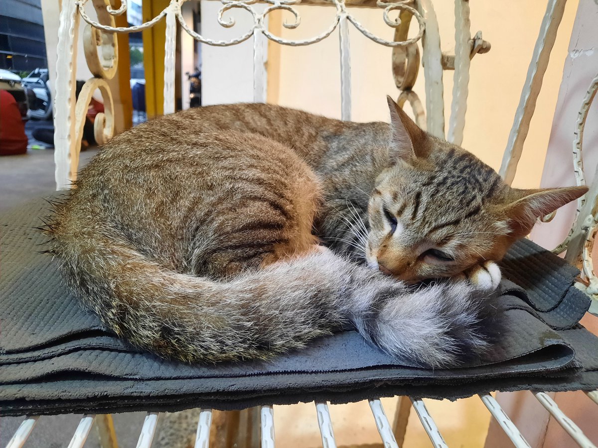 Aditya A. P. tweet media