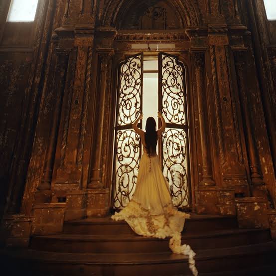 Amy Lee Fans tweet media