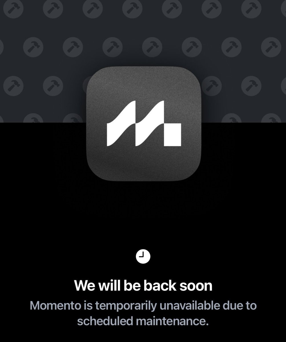 Lydia Sourdough Stárter tweet media