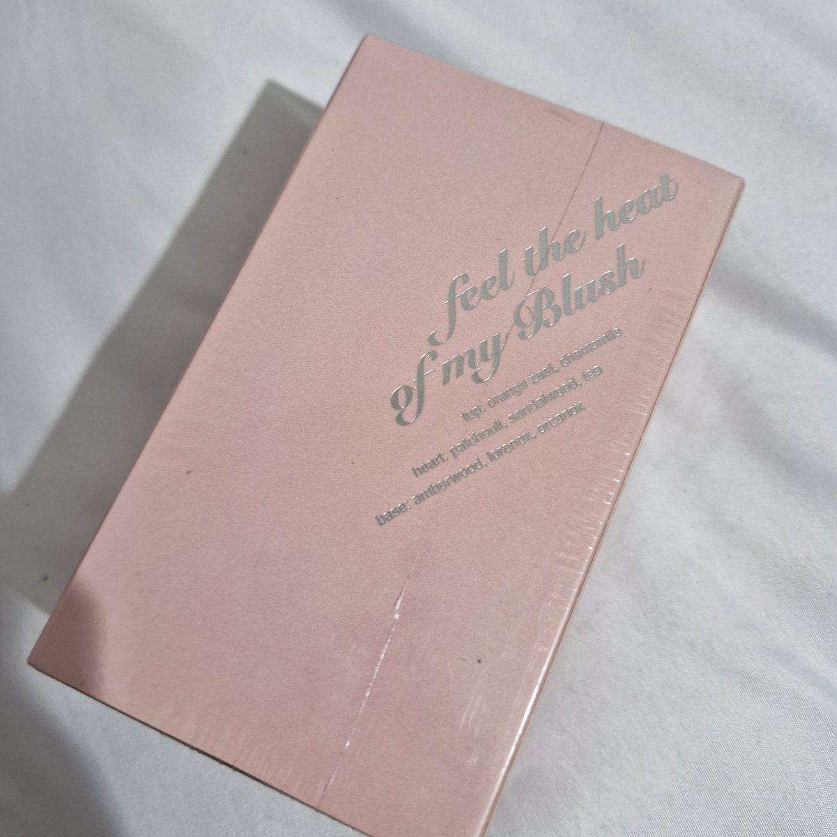 디나 .☘︎ ݁˖ tweet media