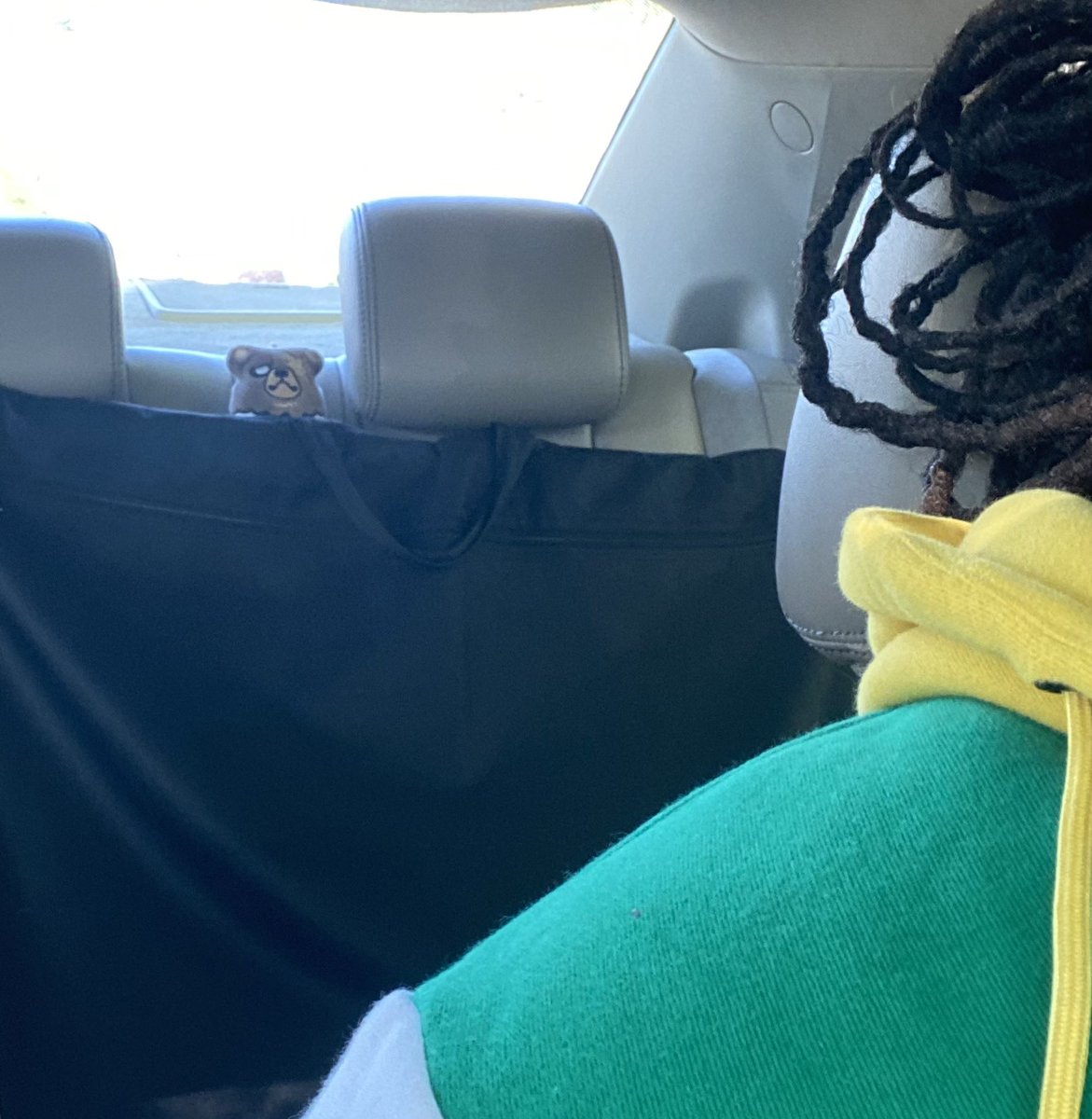 Cain Bear 🔜FWA tweet media