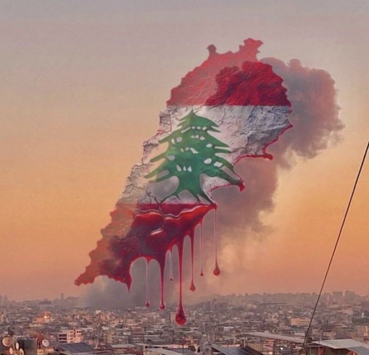 بسمة 🌼 tweet media