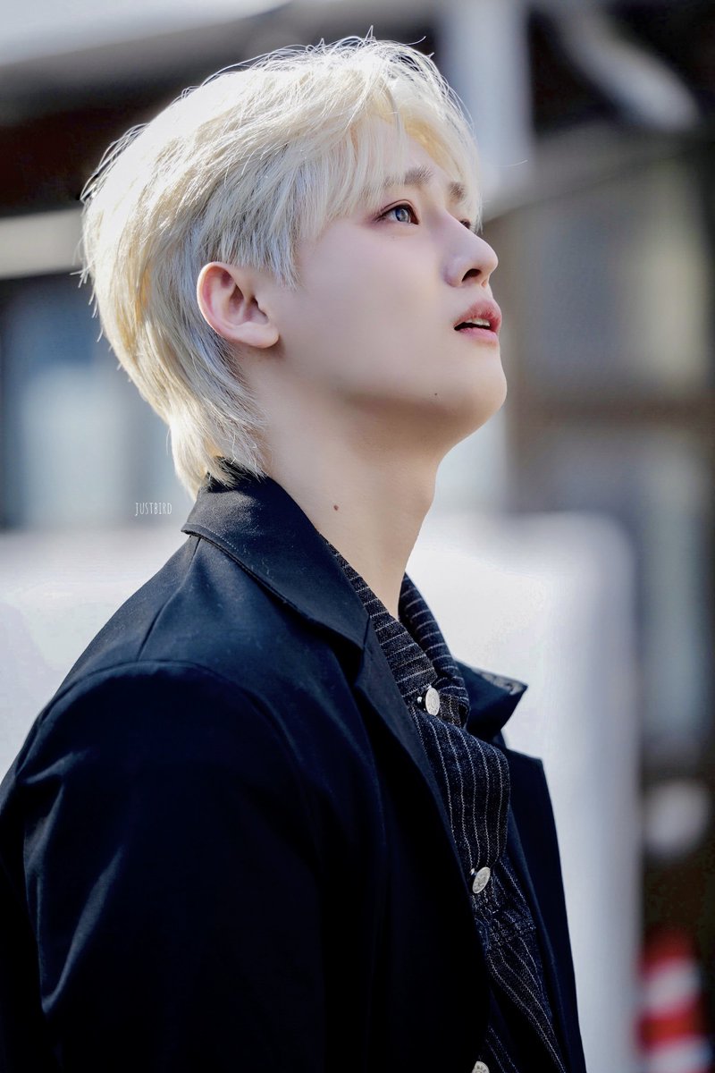 ใพใผใซใใ(๋ง๋ฅ ์งฑ๐) tweet media