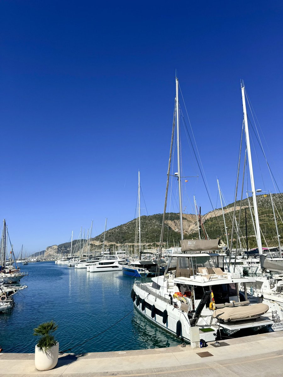 garota do tacacá tweet media